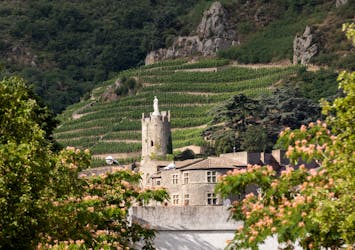 Full-day tour of the Northern Rhône Valley with tasting